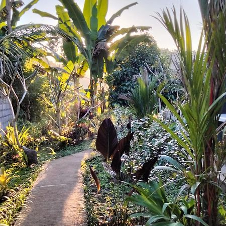 Buntera Homestay Sidemen Sidemen  Ngoại thất bức ảnh