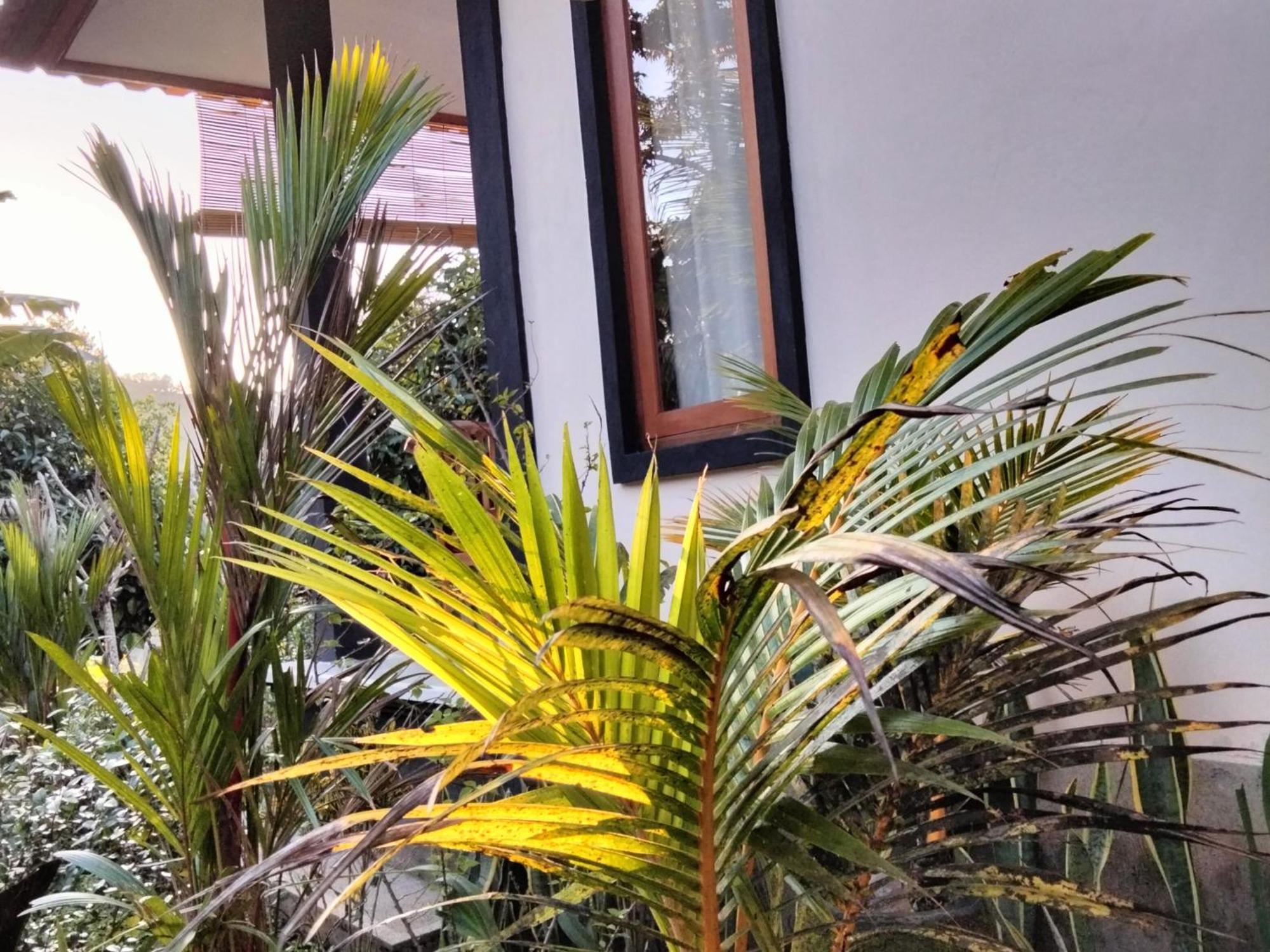 Buntera Homestay Sidemen Sidemen  Ngoại thất bức ảnh
