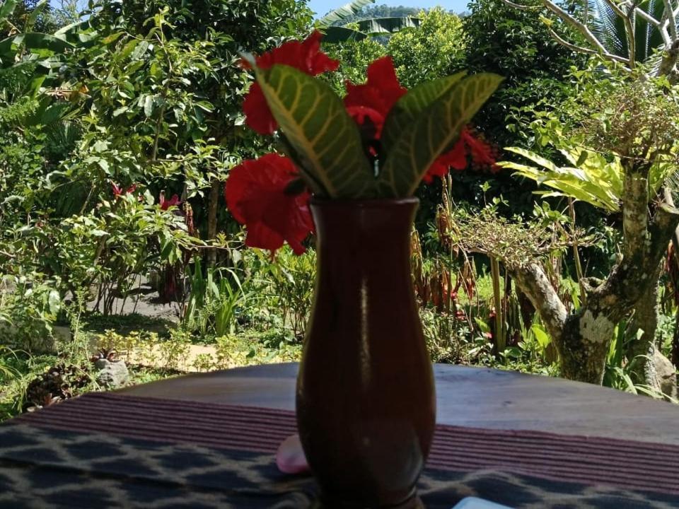 Buntera Homestay Sidemen Sidemen  Ngoại thất bức ảnh