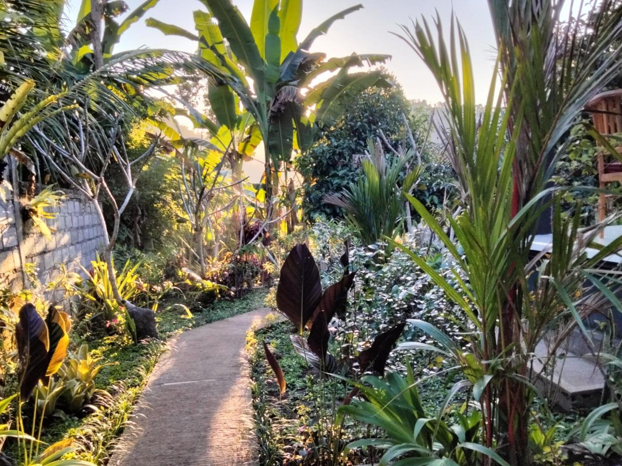 Buntera Homestay Sidemen Sidemen  Ngoại thất bức ảnh