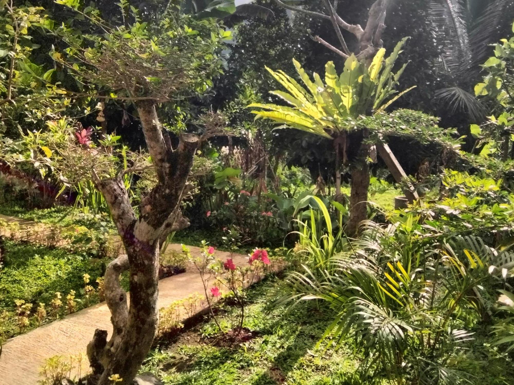 Buntera Homestay Sidemen Sidemen  Ngoại thất bức ảnh