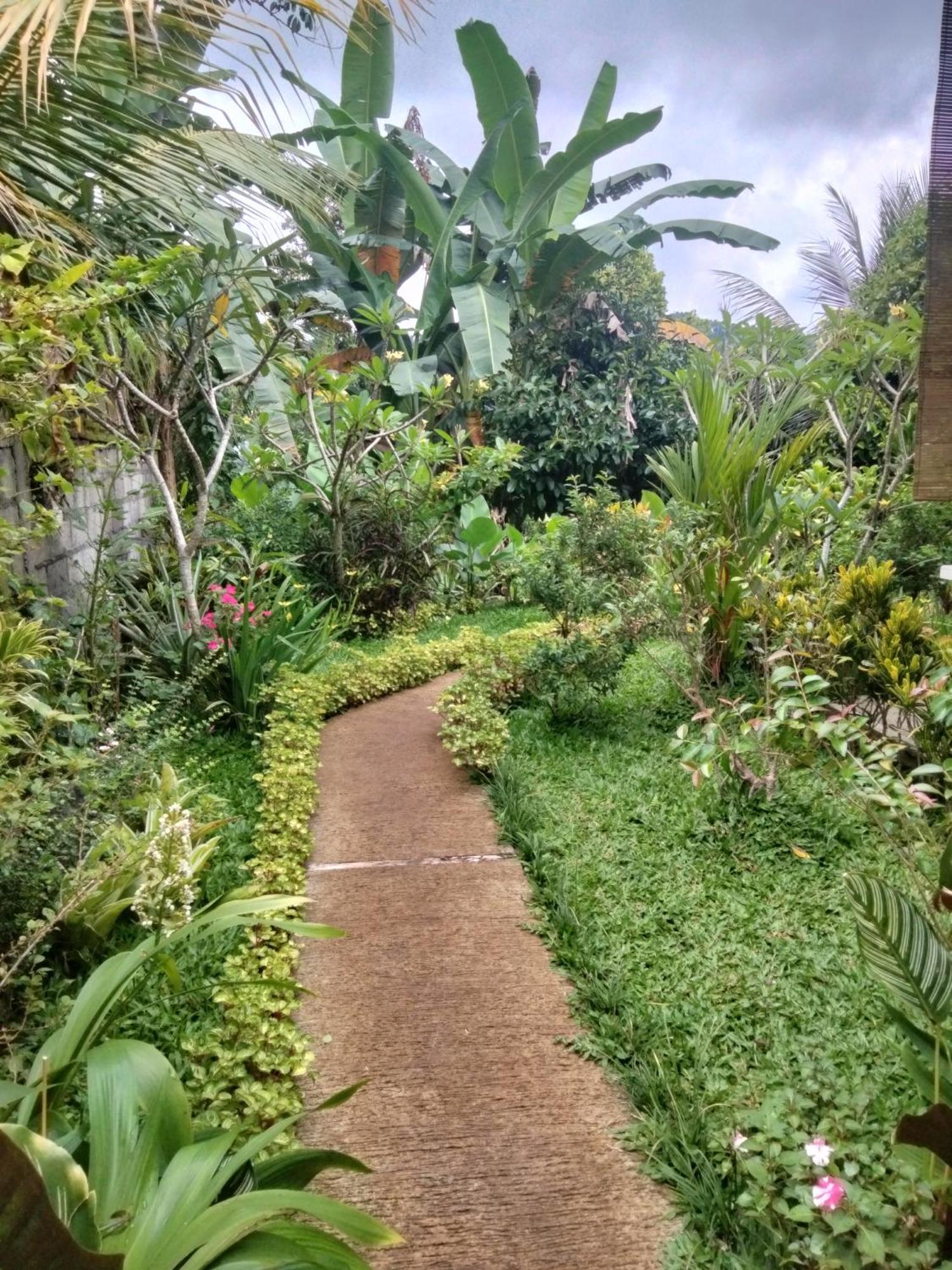 Buntera Homestay Sidemen Sidemen  Ngoại thất bức ảnh