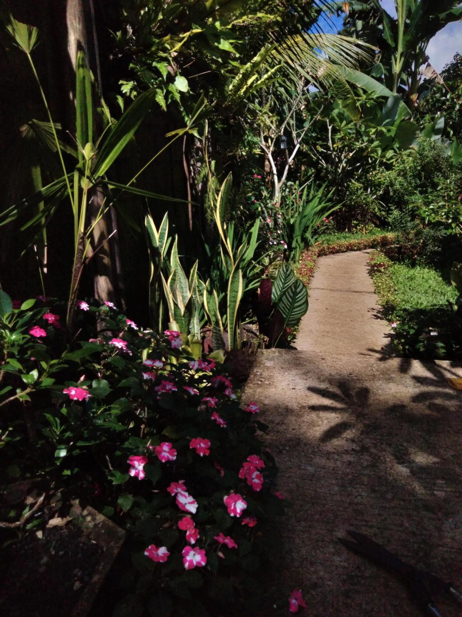Buntera Homestay Sidemen Sidemen  Ngoại thất bức ảnh