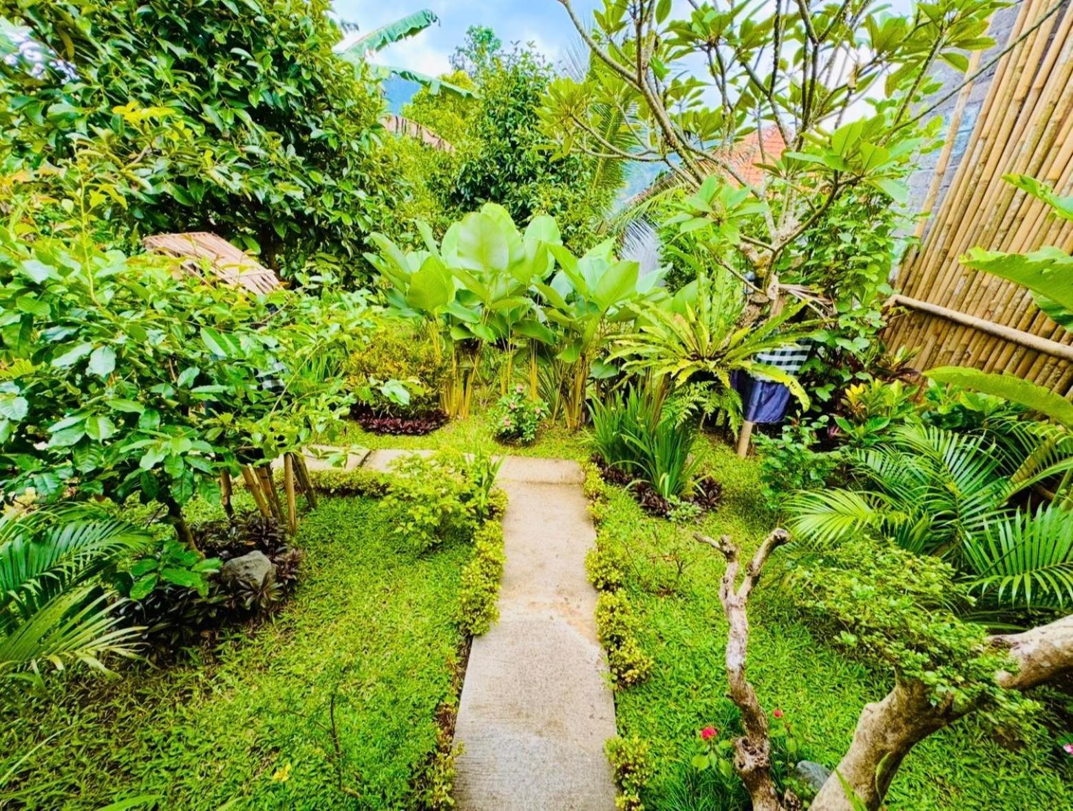 Buntera Homestay Sidemen Sidemen  Phòng bức ảnh