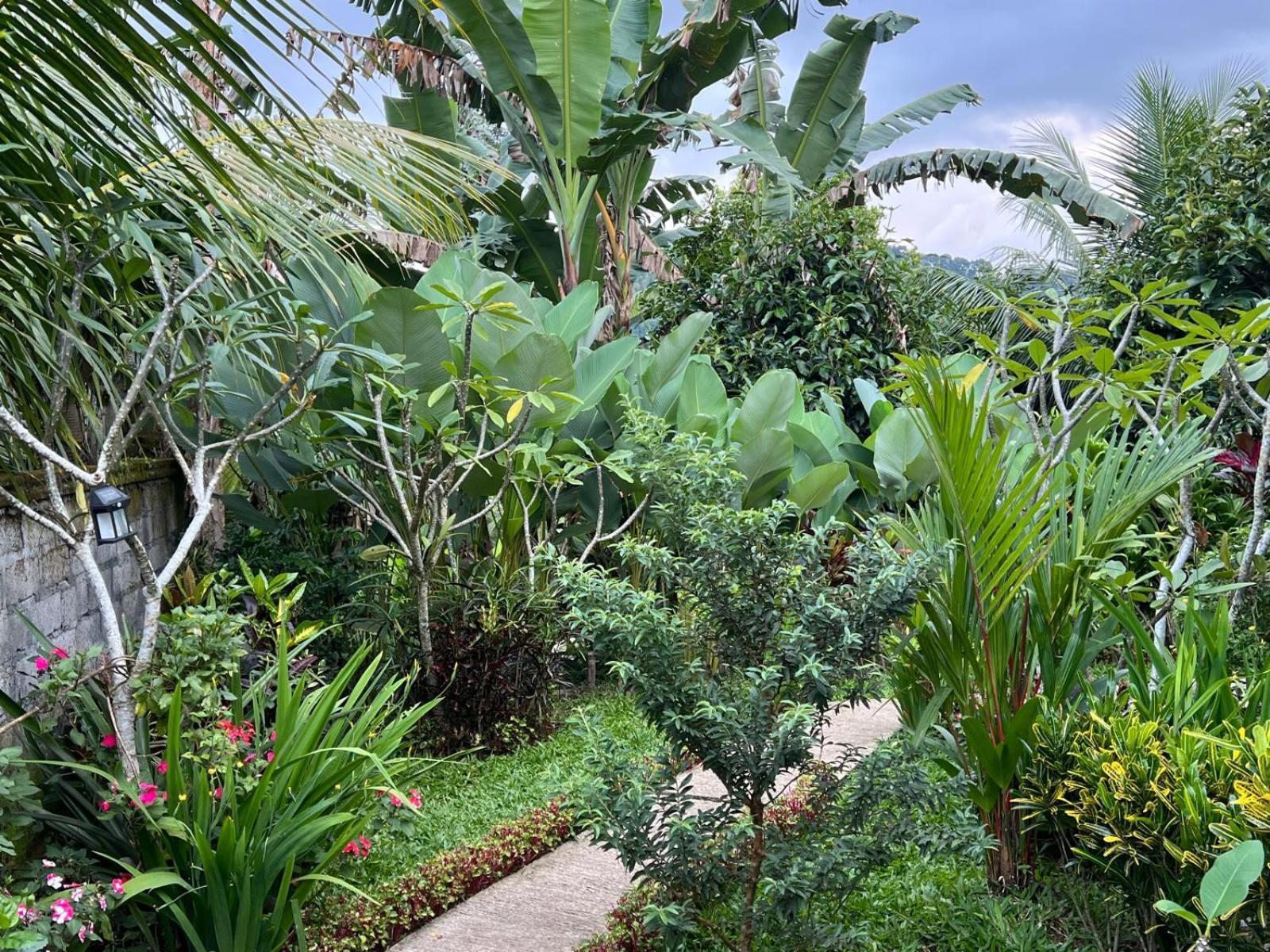 Buntera Homestay Sidemen Sidemen  Ngoại thất bức ảnh